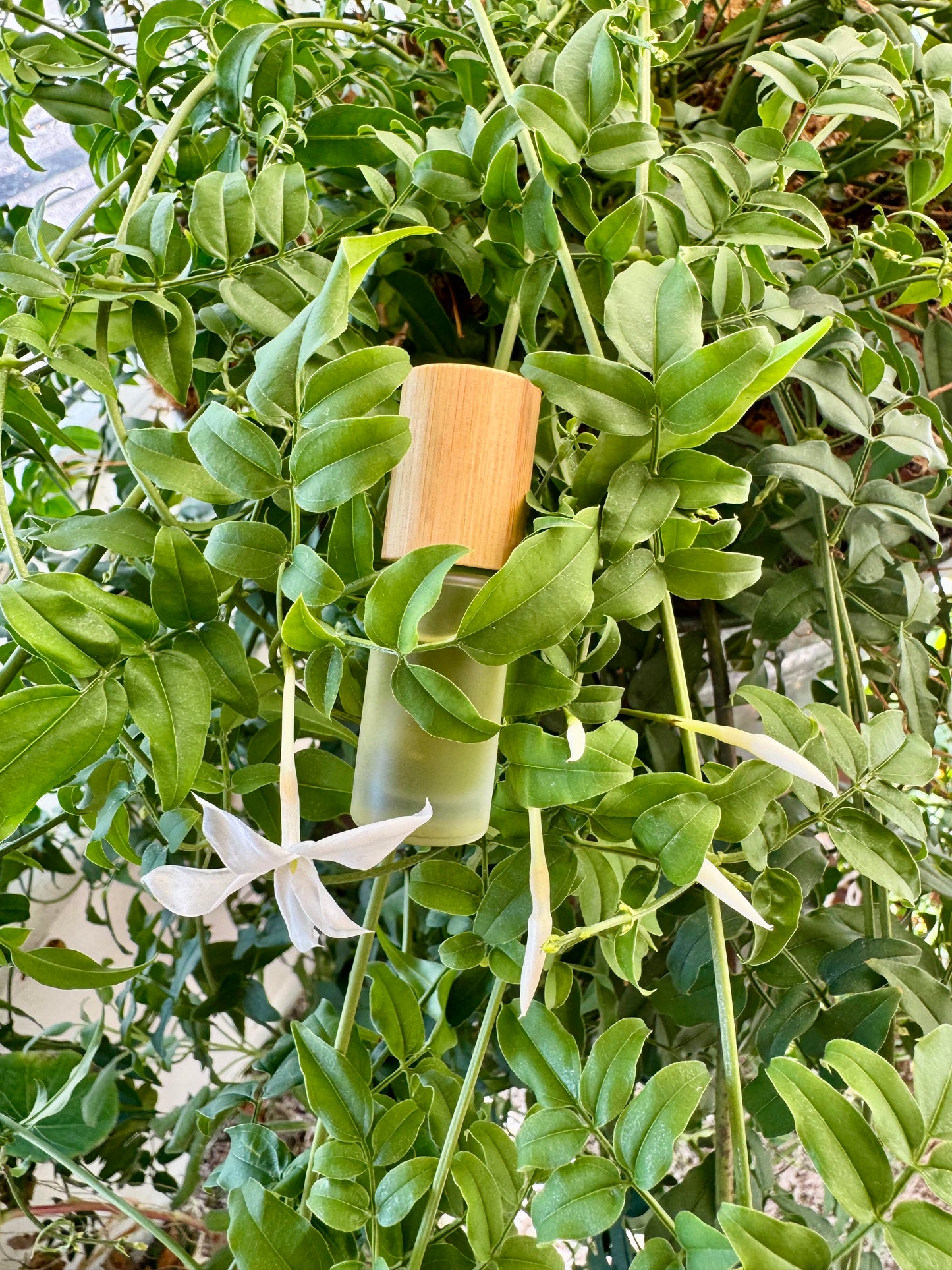 forest jasmine scent blend roll-on perfume