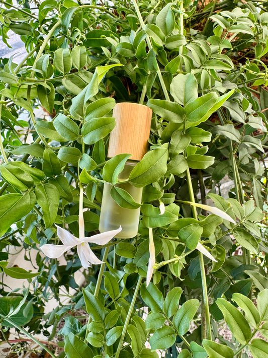 forest jasmine scent blend roll-on perfume